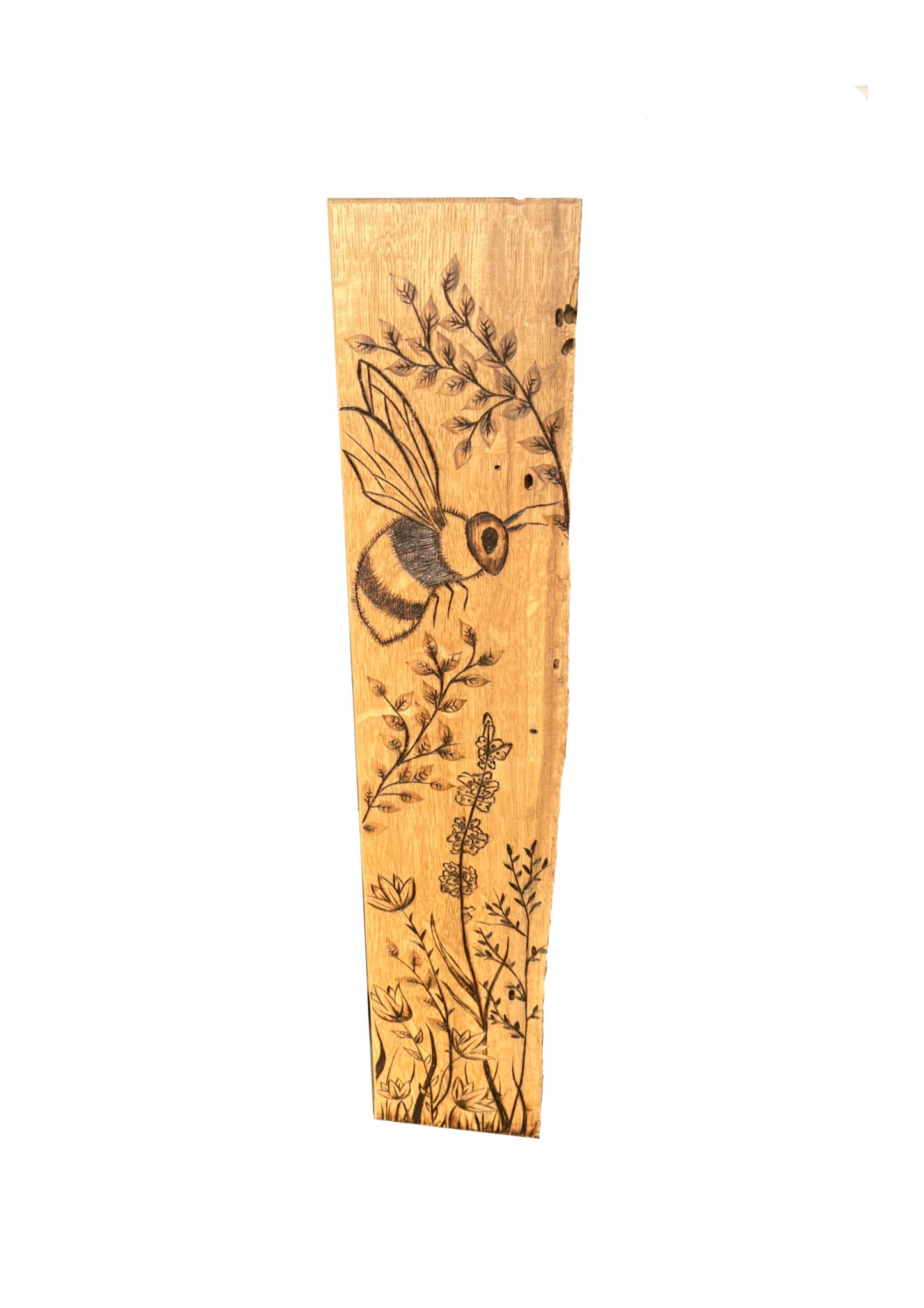Live Edge Harmony: A Bee’s Ballet