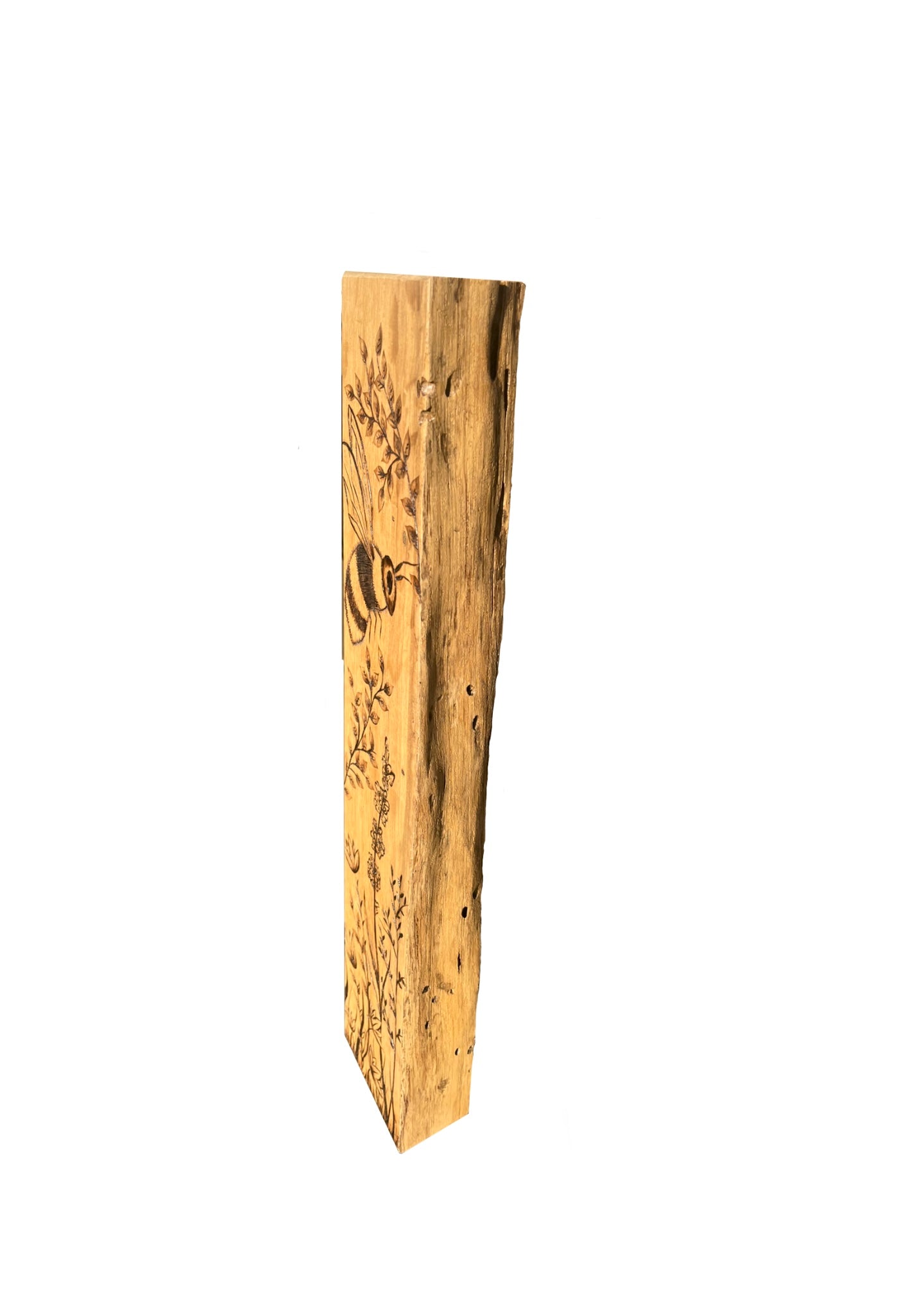Live Edge Harmony: A Bee’s Ballet