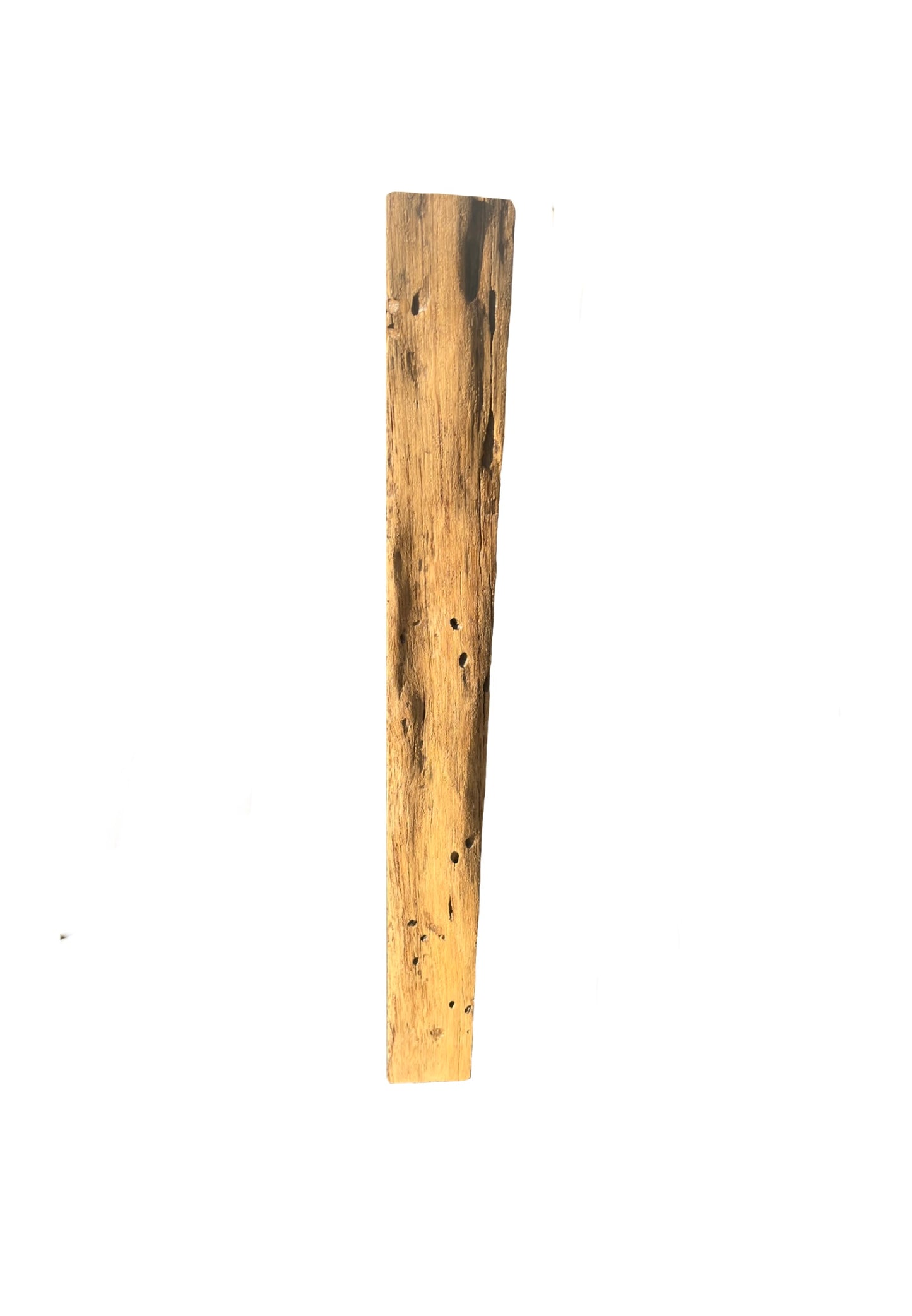 Live Edge Harmony: A Bee’s Ballet