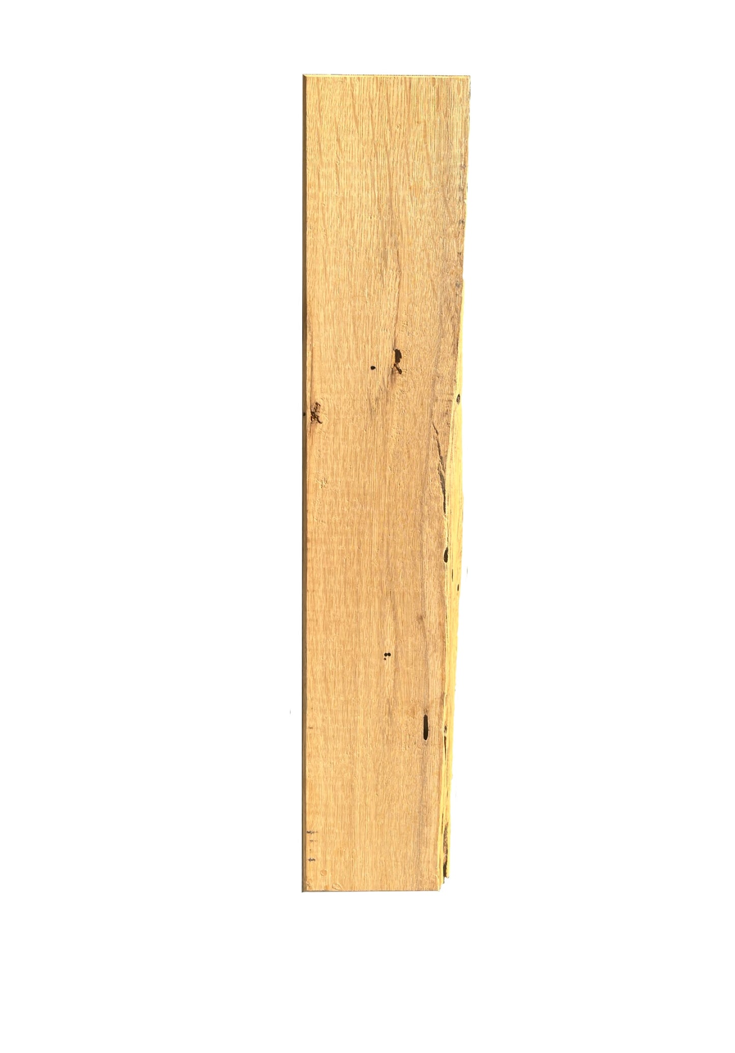 Live Edge Harmony: A Bee’s Ballet