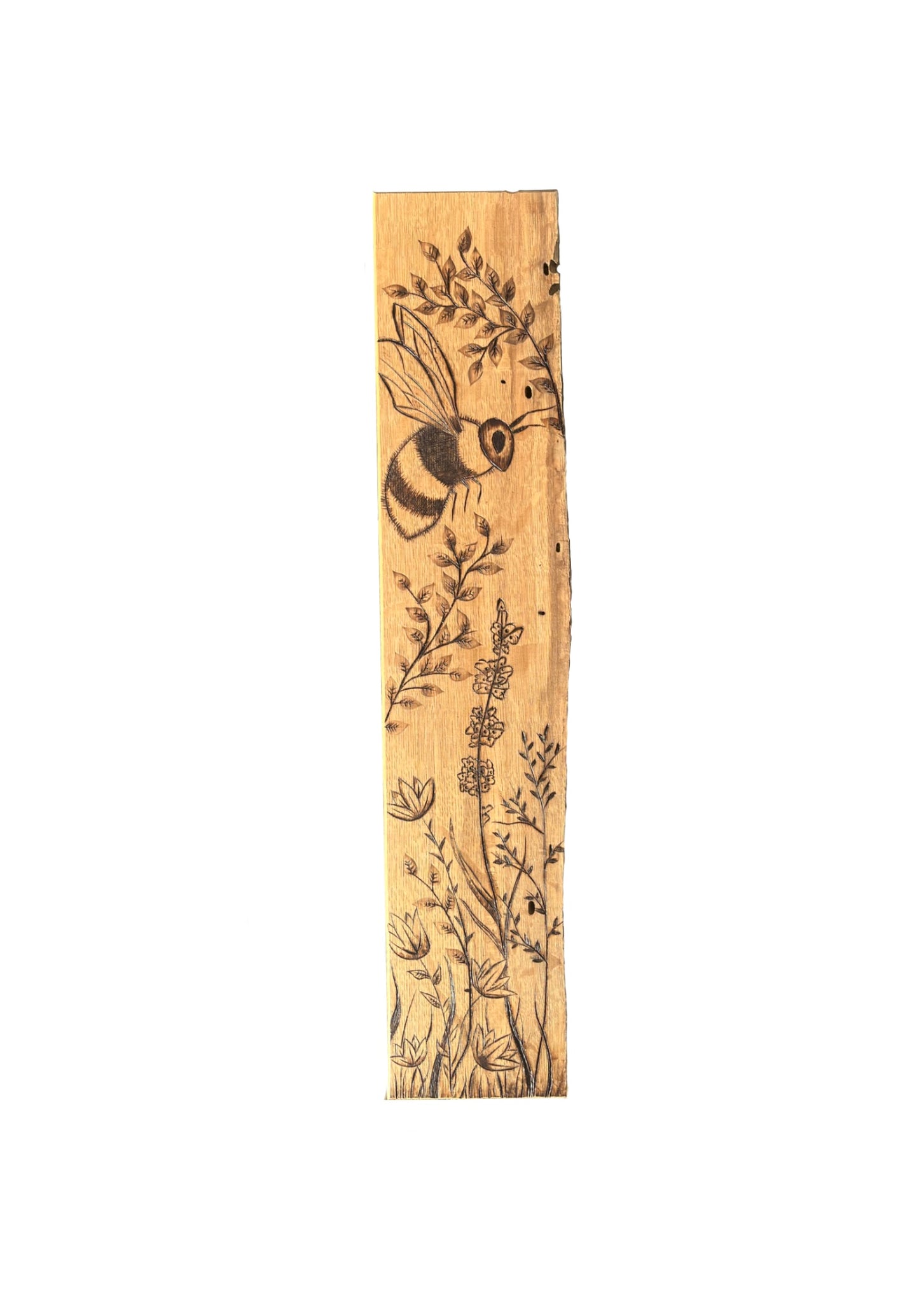 Live Edge Harmony: A Bee’s Ballet
